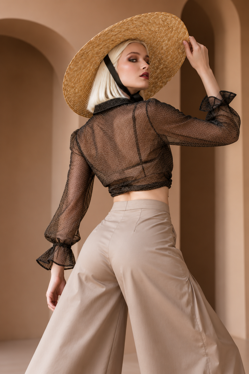 Sheer Black Tie-Neck Cropped Blouse